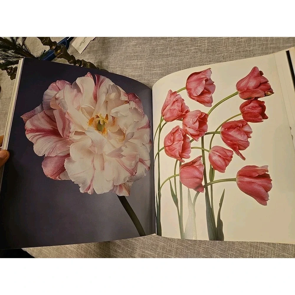 Tulips By Peter Arnold Forward By Sir Elton John Coffe Table Book Hardcover 2006